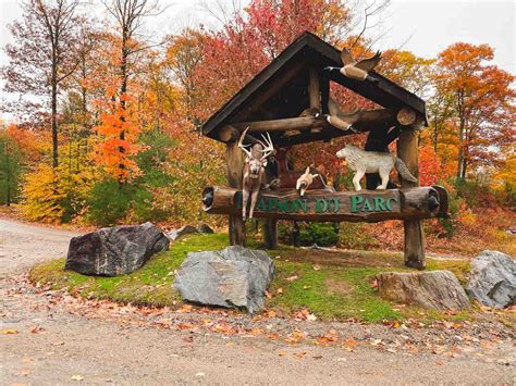 parc omega wolf cabin|parc omega wolf cabin website.